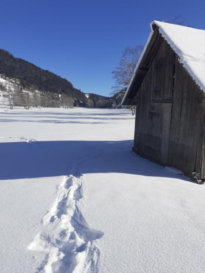 Chalet Catton Two Bedroom Appartement Near Bad Kleinkirchheim Radenthein Exteriör bild